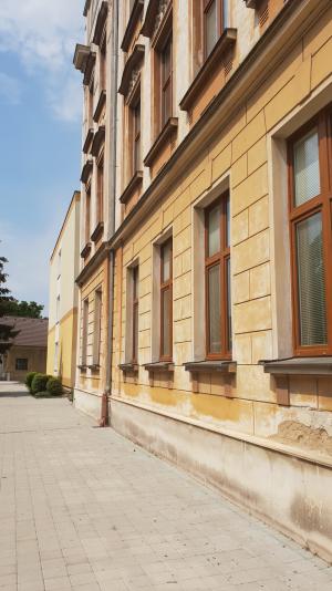 škola