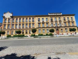 škola