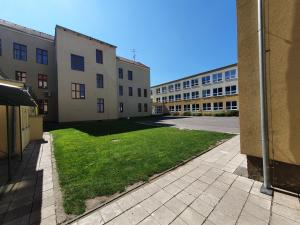 škola