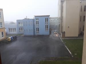 škola