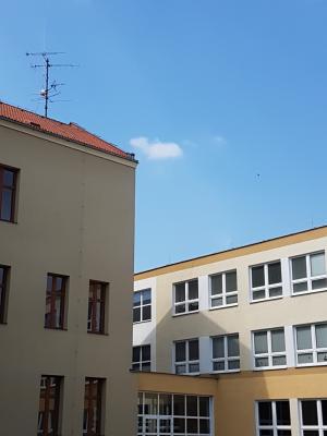 škola