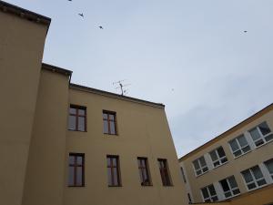 škola