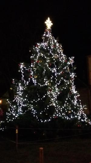Advent 2018 1